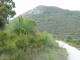Blick zum Mt.Bishop
