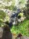 Silverband Falls