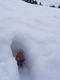 Max ist in eine Schneespalte gefallen