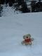 Rutschpartie im Tiefschnee