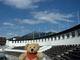 Winni im Olympiastadion