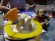 Winni im Eiscafe