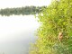 Am kleinen Olchinger See