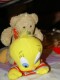 Tweety und Winni mögen sich