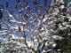 Winni's Winterspaziergang 1.1.2015