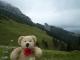 Vorbei an der nächsten Alm.