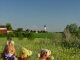 Landschaft um Altomünster