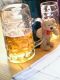 Winni im Biergarten beim Kloster Andechs