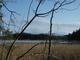 Moorlandschaft