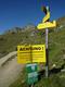 Winni entdeckt ein lustiges Schild!