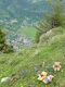 Verdiente Rast mit Blick auf Bayrischzell