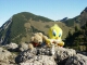 Winni und Tweety erreichen den Taubenstein zuerst