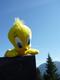 Tweety