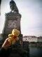 Löwe im Hafen von Lindau