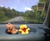 Im Auto unterwegs