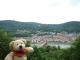 So schön ist Heidelberg