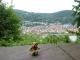 Blick auf Heidelberg