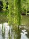 Gartenteichidyll