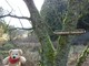 Winni auf dem Wanderweg