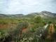 Landschaft entlang der Strecke
