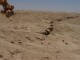 Nur Sand und Fels