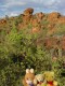 Landschaft auf Waterberg Plateau